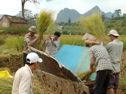 Học nghề